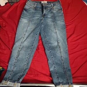 Levi's Women's Blue Ankle Jeans